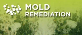 Mold Remediation Classic Carpet Care & Restoration Gladstone